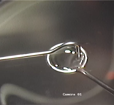 five - Allotex US